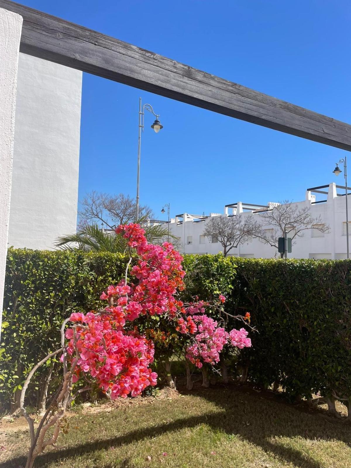 Apartamento Casa Luisa Jardin 10 Condado De Alhama Alhama de Murcia Exterior foto